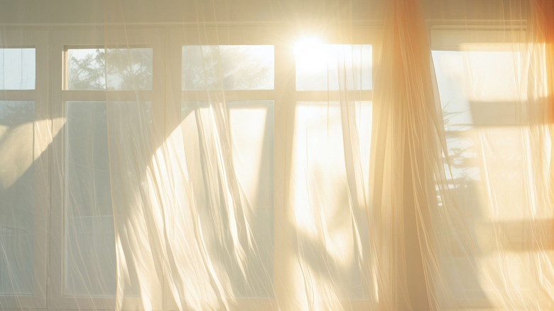 Light curtains flow in front of a very sunny window