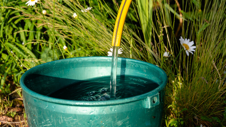 someone filling a container with water