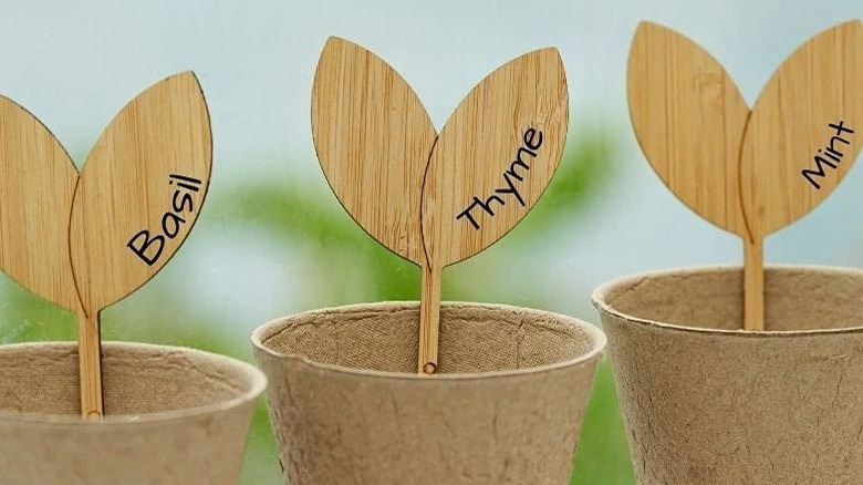 Sprout shaped plant garden tags