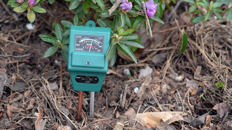 Green pH level and moisture meter