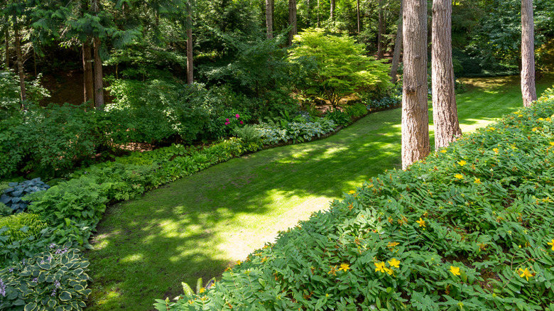 sloped backyard garden