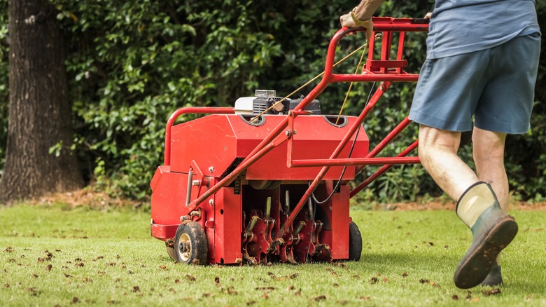Person aerating lawn 