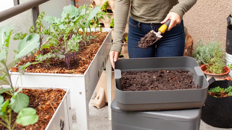 applying compost to plants