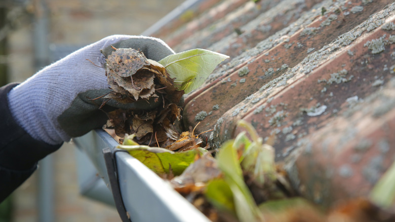 Gloved hand cleaning leaves from a roof gutter