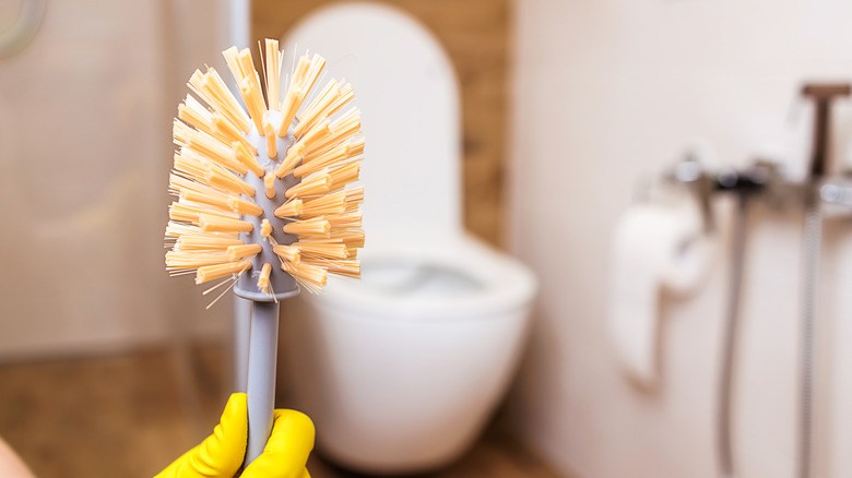 Toilet brush bristles in bathroom