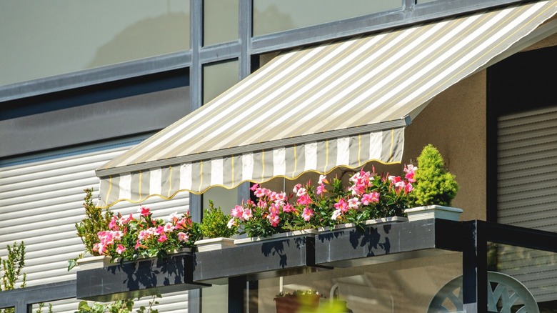 Balcony garden with shaded canopy