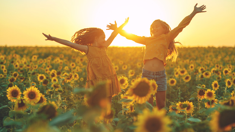 kids jumping in sunflower field