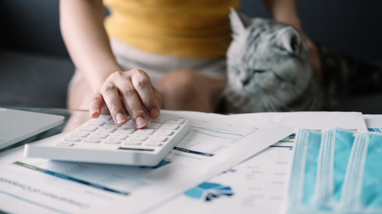 woman with pet cat and calculator