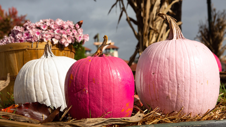 Pink pumpkins