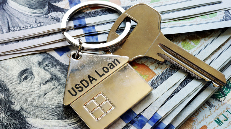 USDA loan and house keys 