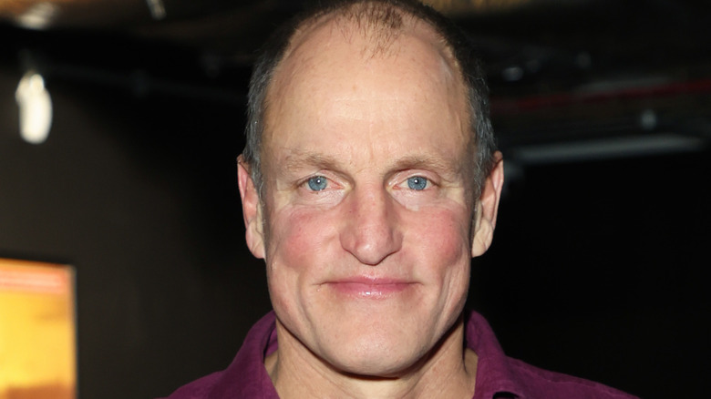 Woody Harrelson poses at an event