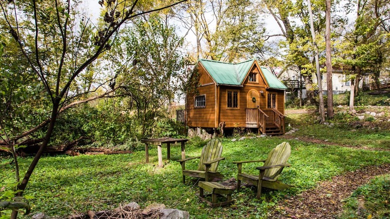 tiny cabin in the woods green lawn
