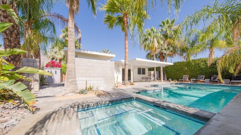 blue pool and palm trees