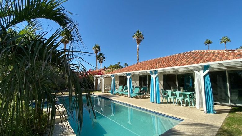 blue pool blue sky and palm trees