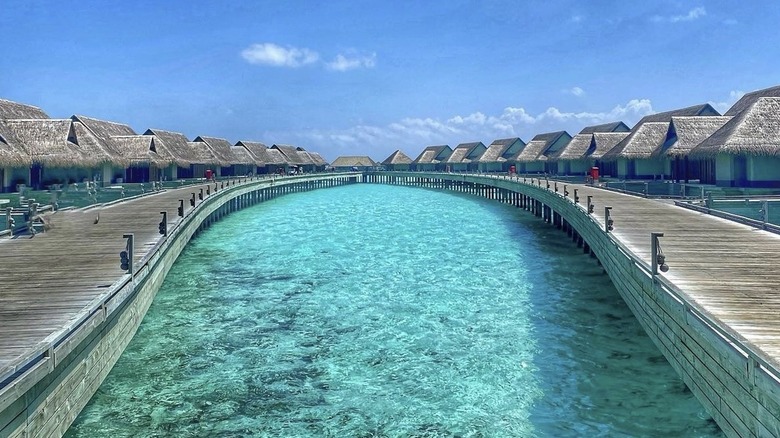 Overwater bungalows crystal clear water