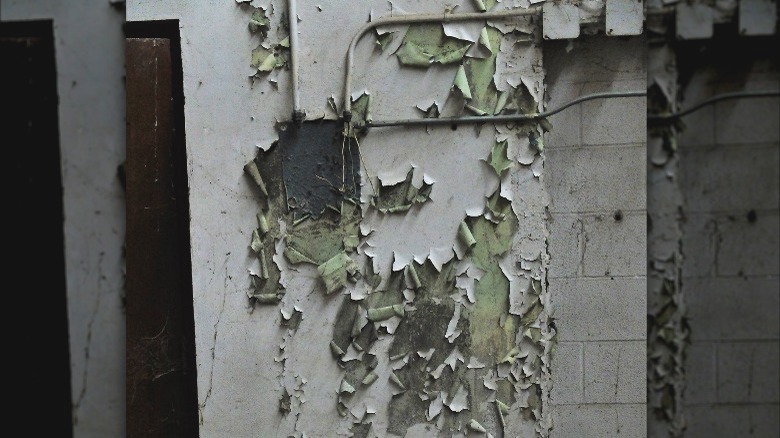 peeling white lead paint