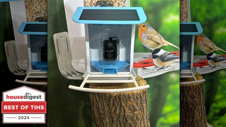 Bird feeder with camera