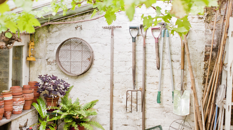 White wall with old garden tools hanging up