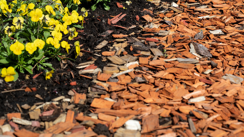 Mulched flower beds