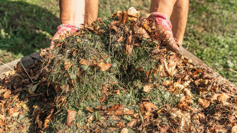 Leaves and grass mulch