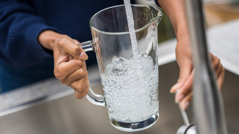 Person filling up pitcher