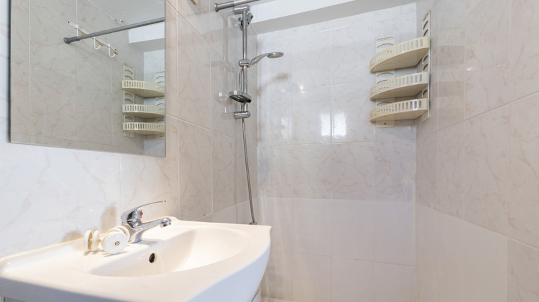 A small bathroom with a sink and shower stall