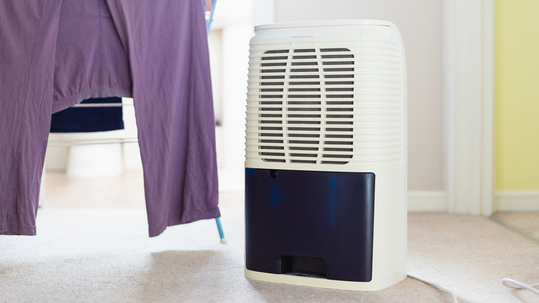 A dehumidifier sitting by a pair of pants hanging to dry