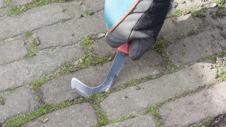 person using a patio knife