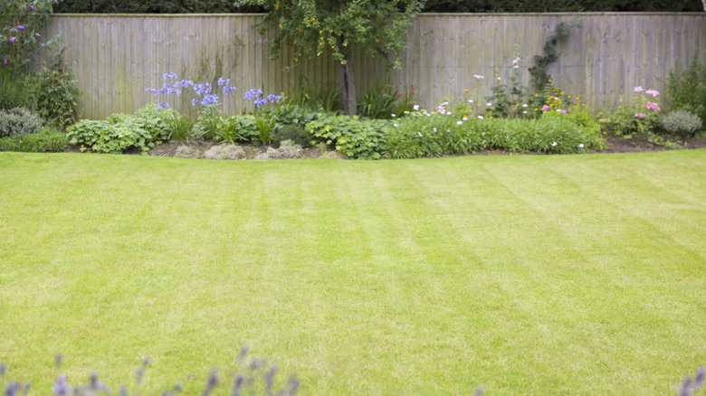 A flower bed and green lawn in a fenced backyard