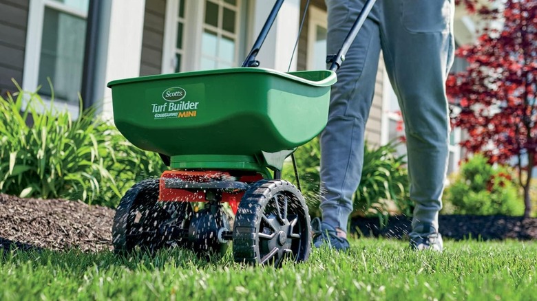 Person spreading grass seed in a residential yard with broadcast spreader