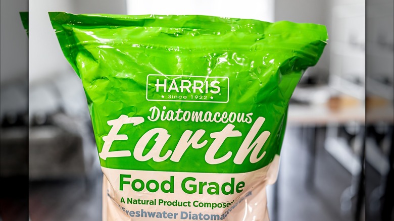 Diatomaceous earth in bag