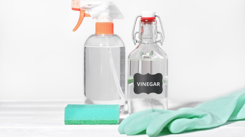 Cleaning supplies with vinegar