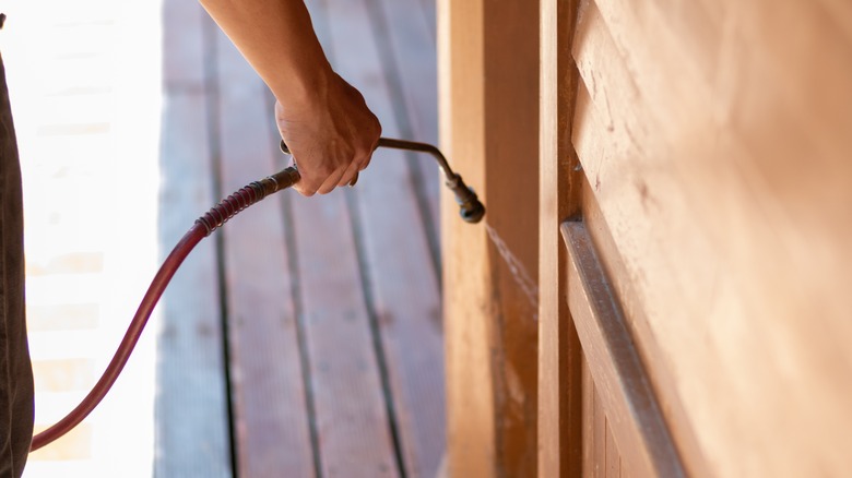 Person spraying wood with insecticide