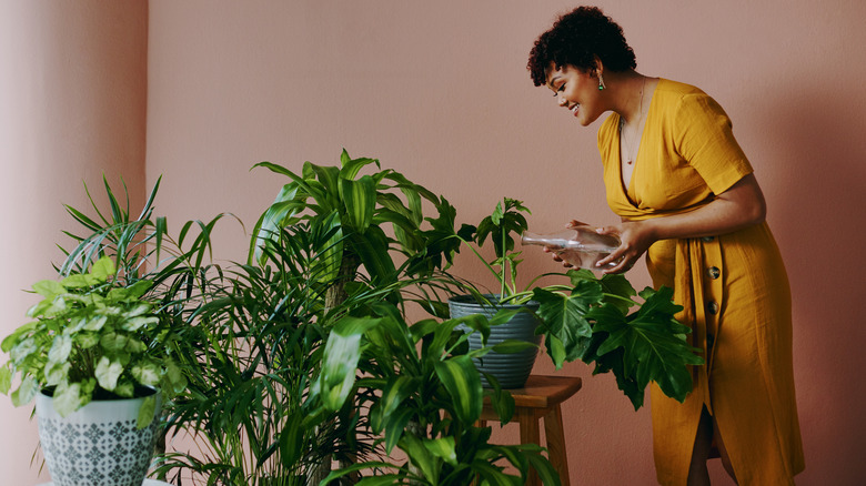 Woman watering her houseplants