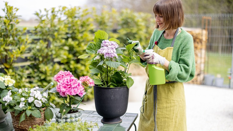 woman spraying plants outside