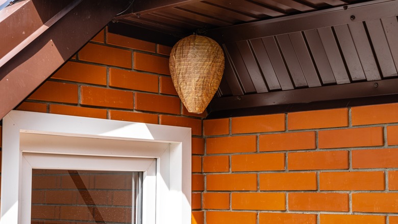 fake paper nest on patio