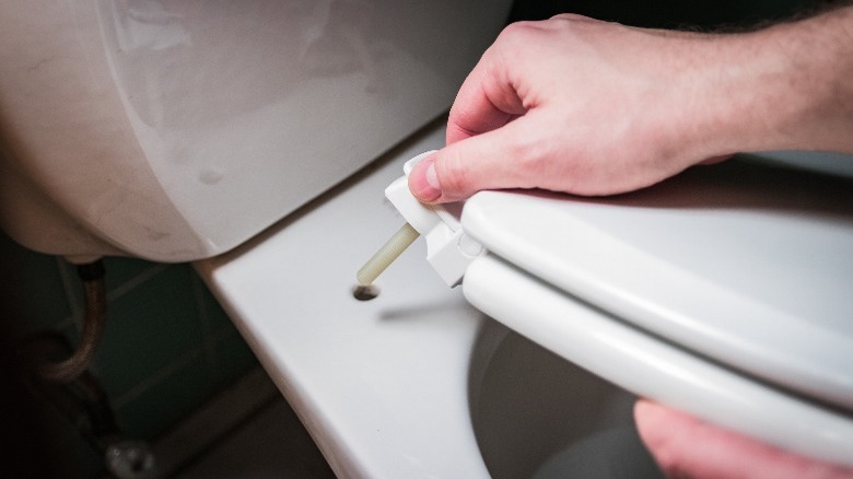 Hardware on a toilet 