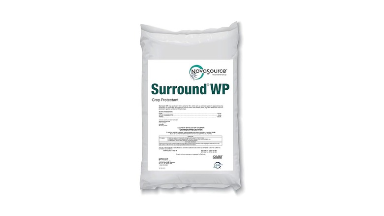 Surround WP