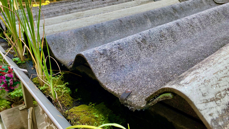 clogged gutter with weeds