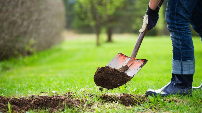 person digging hole with shovel