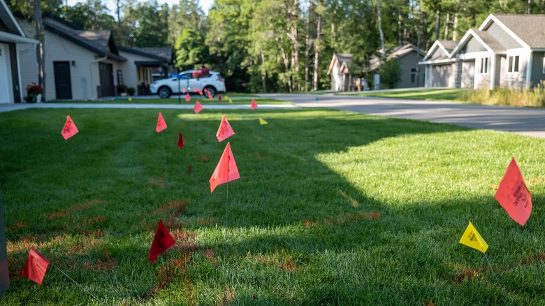 flags and marks on lawn