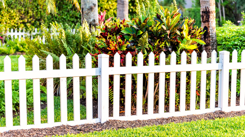Tropical plants and picket fence