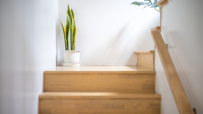 Staircase in a home