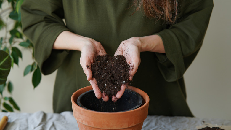 A person putting potting soil into a terra cotta pot