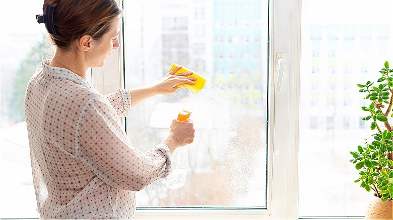 Person rinsing windows with vinegar