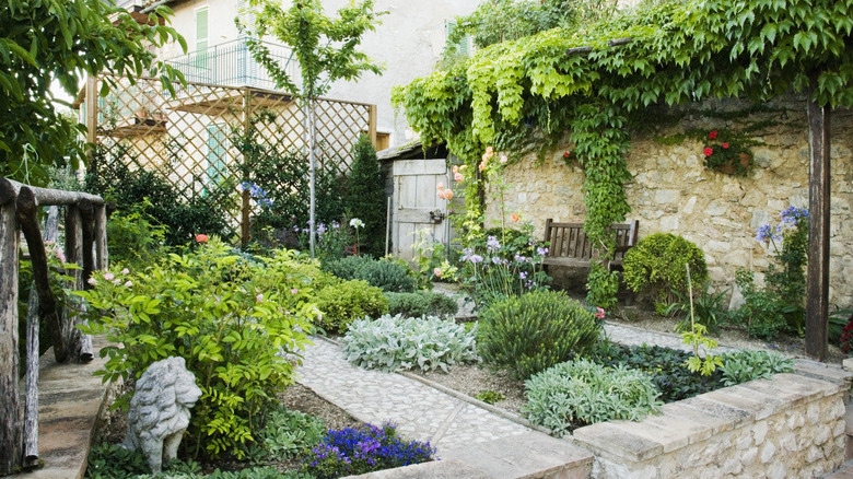 a backyard garden with a trellis and vines