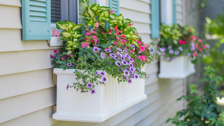 Window flower box