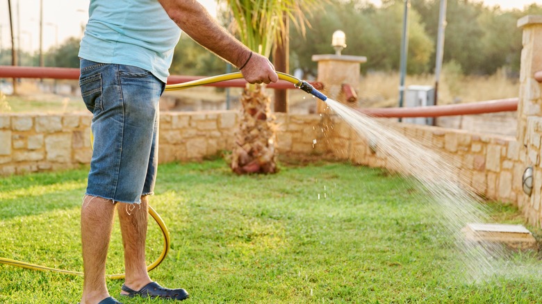 Man watering lawn with hose