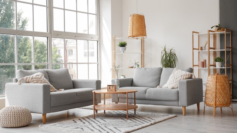 modern couches in living room