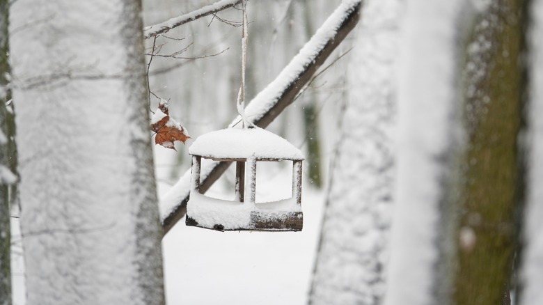 Bird feeder covered in snow